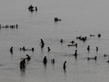 Bathers Take Advantage of the Fine Weather Prevailing in Jordan to Swim in the Dead Sea Lámina fotográfica