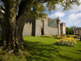 Killyleagh Castle, Co Down, Ireland Photographie