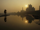 Stray Dog on a Sand Bank of the Yamuna River as the Sun is Seen Rising over the Taj Mahal in India Photographic Print