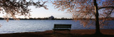 Park Bench with Jefferson Memoria in Background, Tidal Basin, Potomac River, Washington DC Photographic Print by Panoramic Images 