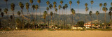 Palm Trees on the Beach, Santa Barbara, California, USA Lámina fotográfica por Panoramic Images