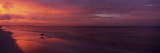 Bird on the Beach, Fort Myers Beach, Estero Island, Lee County, Florida, USA Photographie par Panoramic Images 