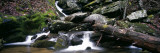 Stream Flowing Through Rocks, Appalachian Mountains, North Carolina, USA Photographic Print by Panoramic Images 