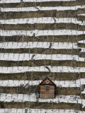 Snow Covered Vineyard is Seen in Stuttgart, Germany Photographic Print