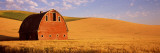 Old Barn in a Wheat Field, Palouse, Whitman County, Washington State, USA Fotografie-Druck von Panoramic Images 