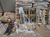 Ultra-Orthodox Jewish Child Sits Next to Piles of Potatoes, Preparations for Upcoming Passover Photographic Print