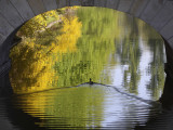 Duck Passes under a Bridge in Lazienki Park in Warsaw, Poland Photographic Print