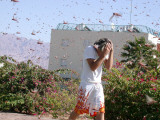 Israeli Youth Tries to Avoid Locusts as He Walks in a Street in the City of Eilat, in the Red Sea Photographic Print