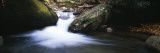 River Flowing Through a Forest, Delaware Water Gap National Recreation Area, New Jersey, USA Lámina fotográfica por Panoramic Images