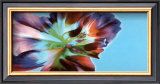 Floral Fantasy II Art by Sigi Loew