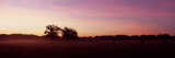 Silhouette of Trees at Dawn, Highlands County, Florida, USA Lámina fotográfica por Panoramic Images Silhouette of Trees at Dawn, Highlands County, Florida, USA Lámina fotográfica por Panoramic Images