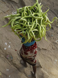 Indian Farmer Carries Cucumbers to Sell in the Market on the Outskirts of Allahabad, India Photographic Print