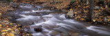 River Flowing Through a Forest, Delaware Water Gap National Recreation Area, New Jersey, USA Photographic Print by Panoramic Images 