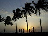 Village Boy Climbs a Coconut Tree as Others Wait Below on the Outskirts of Bhubaneshwar, India Photographic Print