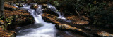 River Flowing Through a Forest, Delaware Water Gap National Recreation Area, New Jersey, USA Photographic Print by Panoramic Images 