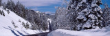 Snow Covered Trees in a Forest, Emigrant Gap, California, USA Fotografie-Druck von Panoramic Images 