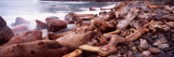 Driftwood on the Beach, Oregon Coast, Oregon, USA Photographic Print by Panoramic Images 