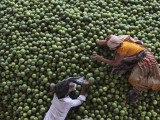 Workers Rest on a Pile of Lime at a Wholesale Fruit Market in Hyderabad, India Photographic Print