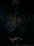 Dancers from the Dutch Dance Theatre Perform During Dress Rehearsal in the Bulgarian Capital Sofia Photographie