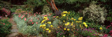 Garden of a Castle, Crathes Castle, Aberdeenshire, Scotland Photographic Print by Panoramic Images 
