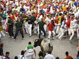 Hundreds Look at a Bull That Gored a Reveler During the Running of the Bulls at San Fermin Fiestas  Photographic Print