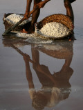 Pakistani Laborer Aslam Baloch Rakes Up Sea-Salt in Karachi, Pakistan Photographic Print
