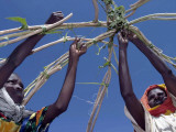 Displaced Sudanese Women Try to Rebuild their Tents in Refugee Camp in the Darfur Area of Sudan Photographic Print