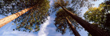 View of Trees, Exbury Gardens, New Forest, Hampshire, England Lámina fotográfica por Panoramic Images View of Trees, Exbury Gardens, New Forest, Hampshire, England Lámina fotográfica por Panoramic Images