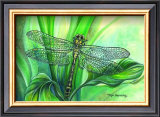 Dragonfly II Prints by Kym Garraway