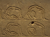 Petroglyphs on a Wall, Luxor, Karnak, Egypt Photographic Print