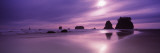 Silhouette of Seastacks at Sunset, Second Beach, Washington State, USA Photographic Print by Panoramic Images 