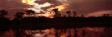 Reflection of Clouds in a River, Fakahatchee Strand, Everglades National Park, Florida, USA Photographic Print by Panoramic Images 