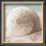 Treasures of the Sea III Print by Christine E.