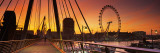 Golden Jubilee Bridge across a Thames River, Ferris Wheel in Back, London, England Photographic Print by Panoramic Images 