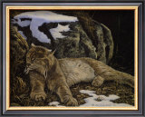 Time to Rest Lynx Prints by Alan Sakhavarz