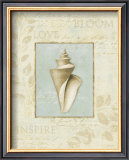 Soothing Words Shells III Posters by Lisa Audit
