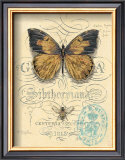 Honeybee Papillon Prints by Chad Barrett