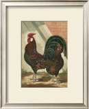 Roosters V Prints by Cassell 