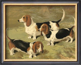 Basset Hounds Poster by Vero Shaw