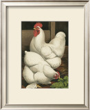 Roosters I Prints by Cassell 