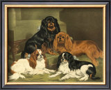 Toy Spaniels Art by Vero Shaw