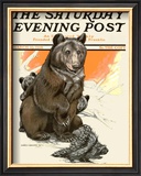 Porcupine Scares the Bears Framed Giclee Print by Charles Livingston Bull