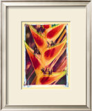 Heliconia Print by Joanne Bolton