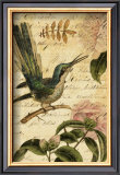 Collage Naturel II Poster by Philippa 