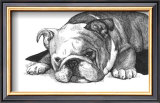Gracie the Bulldog Posters by Beth Thomas