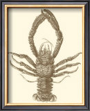 Sepia Lobster II Prints