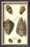 Neptune's Treasure III Prints by Kruger 