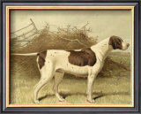 Pointer Prints by Vero Shaw