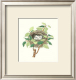 Twite Nest Poster by James Bolton
