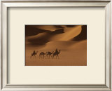 Niger Posters by Jean-Luc Manaud